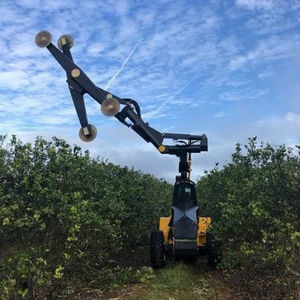 cimatrice per arboricoltura 1