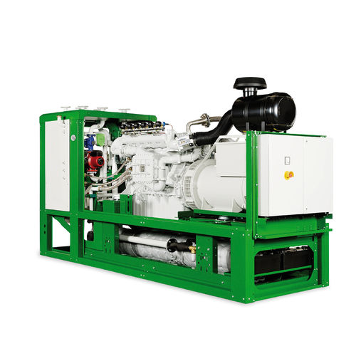 Centrale elettrica a biogas - patruus series - 2G Energy AG - a gas naturale / compatta / agricola
