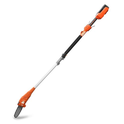 Potatore ad asta a batteria - ECO 166 - SC Ruris Impex - a batteria