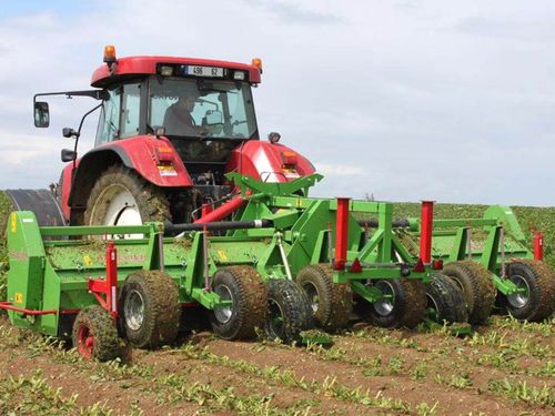 Trinciafoglie di patate - HF series - Baselier BV - per carote / 2 filari / 6 filari