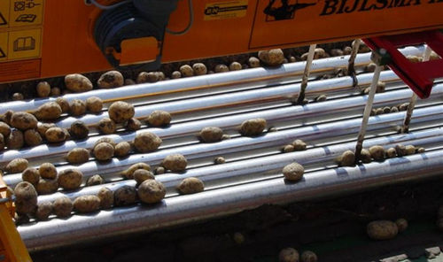 Pulitore per raccolti per patate - RL series - Bijlsma Hercules B.V. - per cipolle / a tamburo
