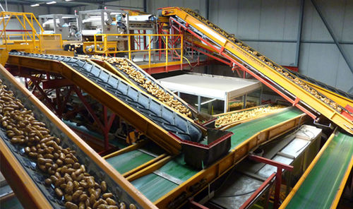 Trasportatore per patate - BT-TR - Bijlsma Hercules B.V. - a nastro