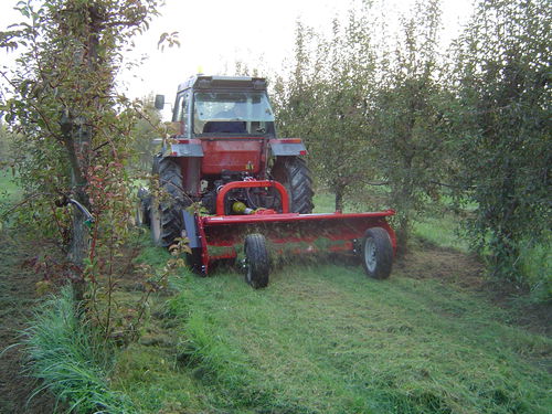 Trinciatrice portata - T20 series - FORIGO ROTER ITALIA - a coltelli / a 36 martelli / a 48 martelli
