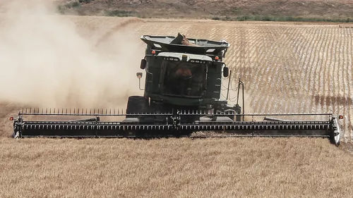 Testata per raccolta per cereali - D1 Series - MacDon Europe GmbH - per fagioli / flessibile / a vite senza fine