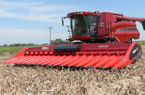 Testata per raccolta per mais - CM 2020  - Maquinas Agricolas Ombu SA - rigida / a vite senza fine