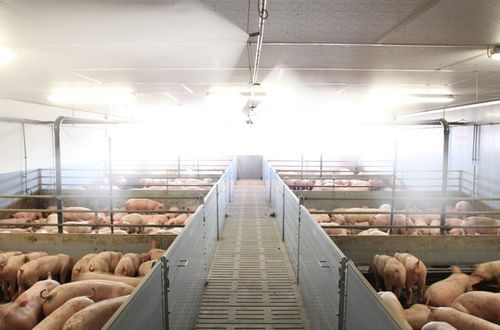 Raffrescatore per stalla - Meier - Brakenberg GmbH & Co. KG - ad evaporazione / con ugelli