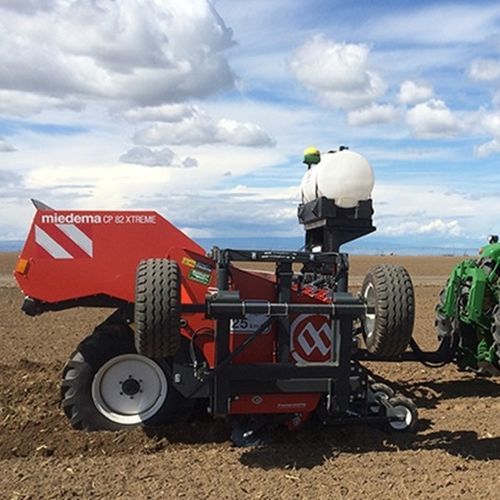 Trapiantatrice per patate - CP 82 Xtreme - Dewulf Group - automatica / 8 filari / trainata