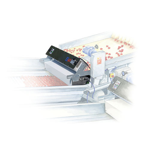 Tavola vagliatrice per pomodori - S 100 series - MTS srl - per frutta / per colore / automatica