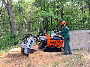 Fresaceppi con guida da terra - 5960 DHR - Müllers & Backhaus GmbH & Co. KG - con motore diesel