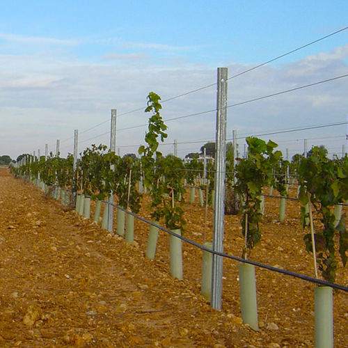 Sistema di irrigazione goccia a goccia - RKD Irrigacion