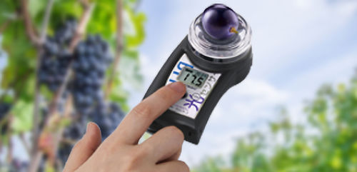 Rifrattometro a infrarossi - 25031 - STEP Systems GmbH - di zucchero / per frutta / portatile