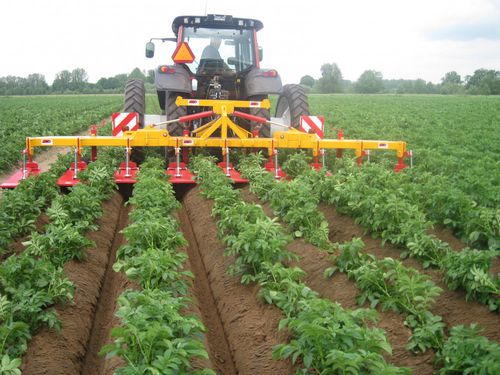 Rincalzatore per verdura - ZINGER Mechanisatie BV - ZIBO Holland - a vomere