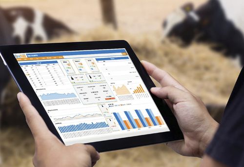 Applicazione mobile di gestione - OneView  - Boumatic Robotics B.V. - di analisi / per gregge / in tempo reale