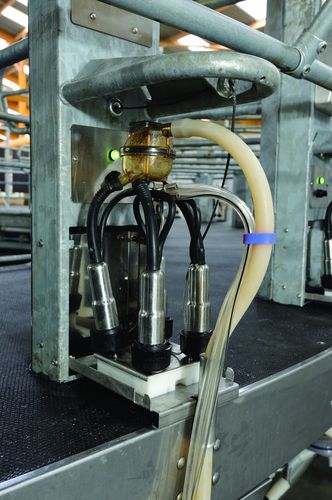 Unità di lavaggio per gruppi di mungitura - Boumatic Robotics B.V.