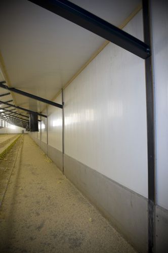Pannello divisorio per l'allevamento - Bouwplast-plus FR - BOUWIMPEX B.V. - per suini / in plastica