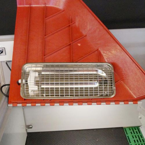 Lampadina riscaldante per suinetti - Master  - ACO Funki A/S