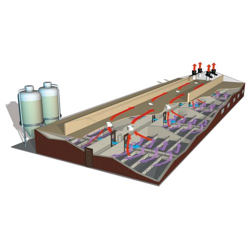 Sistema di ventilazione per capannone agricolo - CentralFlow - Fancom B.V.