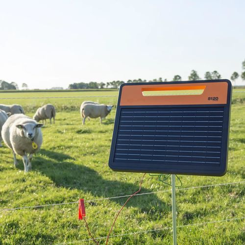 Elettrificatore a energia solare - S120li - Gallagher Europe - per suini / per caprini / per bovini