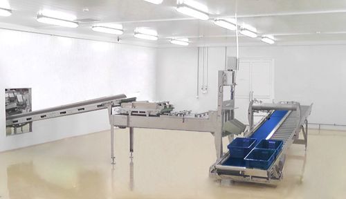 Cassetta da trasporto per pulcini - Innovatec Hatchery Automation