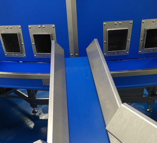 Trasportatore per polli - Innovatec Hatchery Automation - a nastro