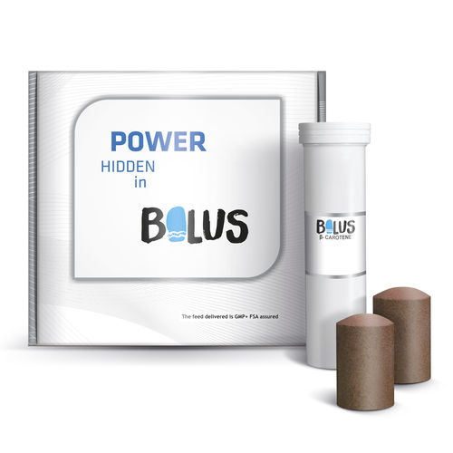 Bolo della nutrizione - B-carotene - JFarm - per bovini / con oligoelementi / vitamine