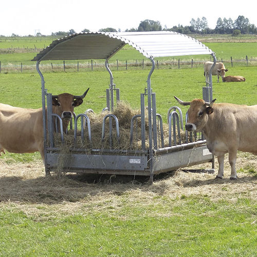 Rastrelliera per bovini - RA0951 - JOURDAIN - in acciaio / multiaccesso / con fissaggio a terra