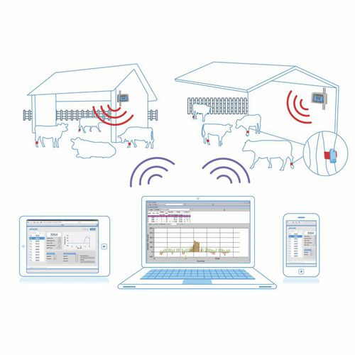 Software di gestione - AfiAct II - MILKPLAN S.A. - di supervisione / di analisi / di gestione dati