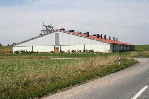 Stalla per suini - Modulstall GmbH
