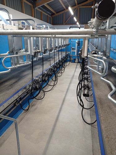 Sala di mungitura a spina di pesce - PANORAMA - POLANES Ltd. - per mucche / con distributore di cibo