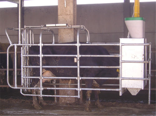 Porta di contenimento per mucche - ProteCow - PROSAGRI srl - a serraggio automatico