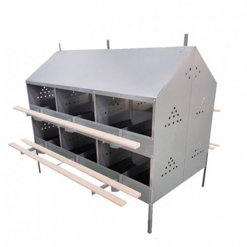 Sistema di gabbie per galline da carne con gabbie - Qingzhou Jinlong Temperature-Controlled Equipment Co., Ltd.