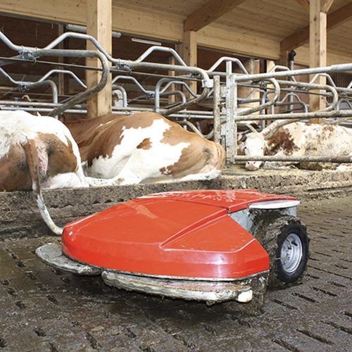 Raschiatore per letame robotizzato - ENRO - Schauer Agrotronic GmbH - dritto / per pavimento fessurato