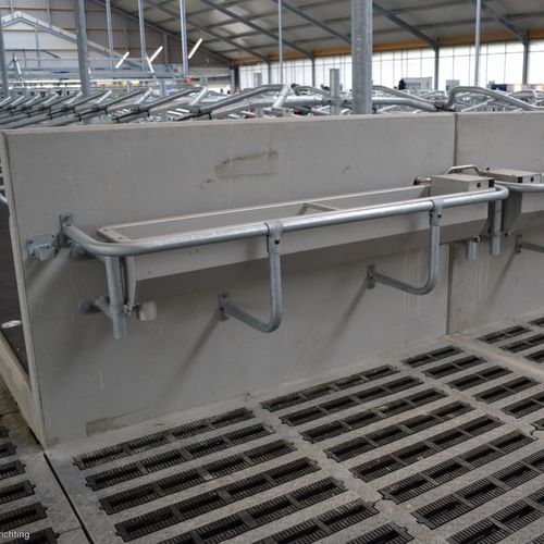 Abbeveratoio per mucche - 150, 200, 300 - Spinder Dairy Housing Concepts - a canale / in acciaio inossidabile / multiaccesso