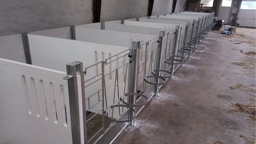 Box per l'allevamento - Combo - VDK Products BV - per vitelli / condominiale / in plastica
