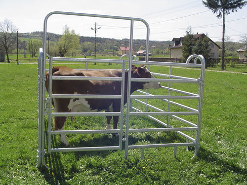 Barriera per l'allevamento - Zaklady Metalowe w Przysiekach Sp. z o.o. - di contentimento / per mucche / per suini
