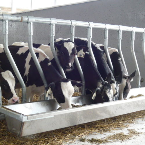 Trogolo per bovini - Artex Barn Solutions LTD. - in metallo / multiaccesso