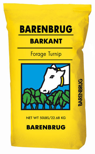 Foraggio di ravizzone - Barkant  - Barenbrug USA - per alimentazione animale / per pascolo / per bovini