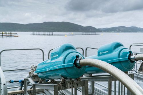 Sistema di alimentazione a cannone - Steinsvik AS - per acquacoltura / flottante / automatico