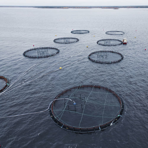 Gabbia per pesci flottante - THE 400 - Hvalpsund Net a/s - rotondo