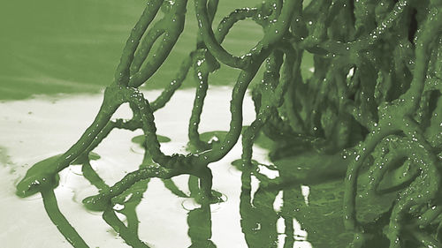 Rete per acquacoltura antifouling - Hvalpsund Net a/s - senza biocidi