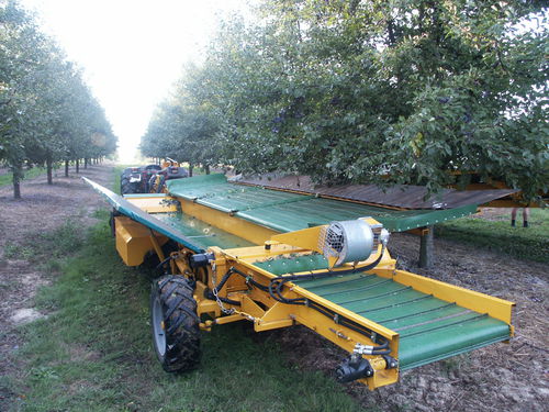Scuotitore per alberi per olive - M04 - Somaref - per prugne / per mele / per albicocche