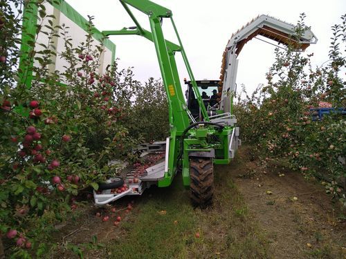 Scuotitore per alberi per agrumi - OE4.4 - FEUCHT Obsttechnik GmbH - per frutta / per mandorle / per ciliegie