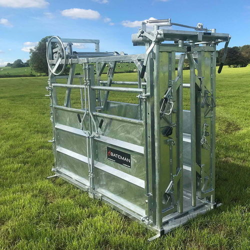 Gabbia di trattamento per mucche - Devon - LM Bateman