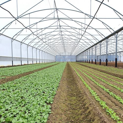 Serra multitunnel - MULTITUNNEL A PIEDS DROITS SERRE PROFESSIONNELLE - SERRES JRC