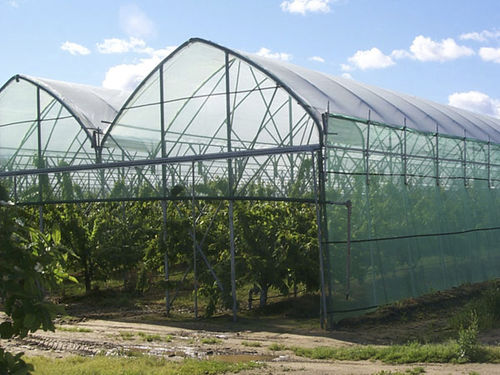 Serra multitunnel - Barre - botanica / in plastica