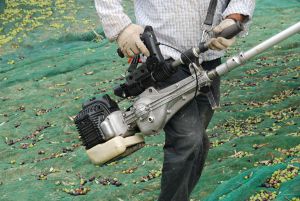 Scuotitore per olive a benzina - SC105 - Cifarelli