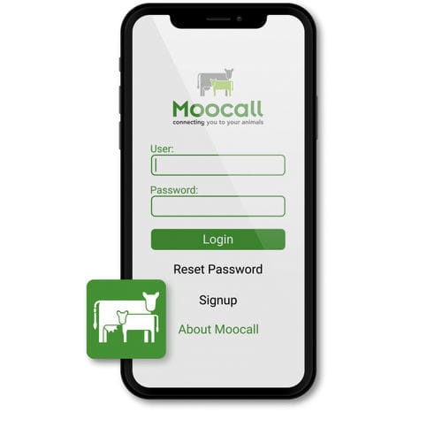Applicazione mobile di gestione - Breedmanager - Moocall - per gregge