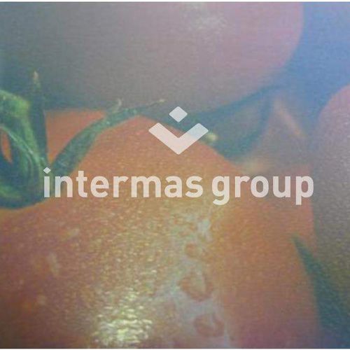Film per serra - CELLOCLIM 4S - INTERMAS