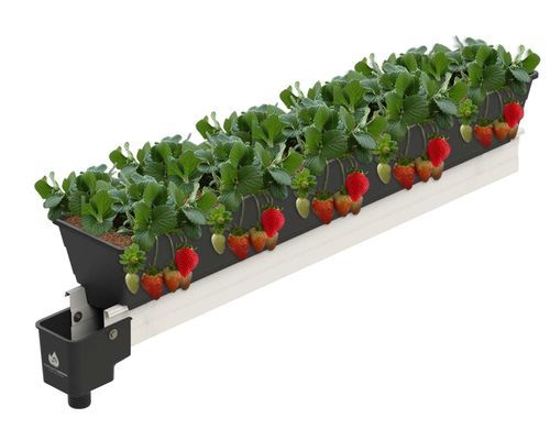 vaso in plastica - HYDROPONIC SYSTEMS INTERNATIONAL