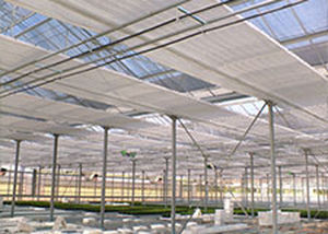 Schermo ombreggiante - TGU GmbH & Co. KG - per serre
